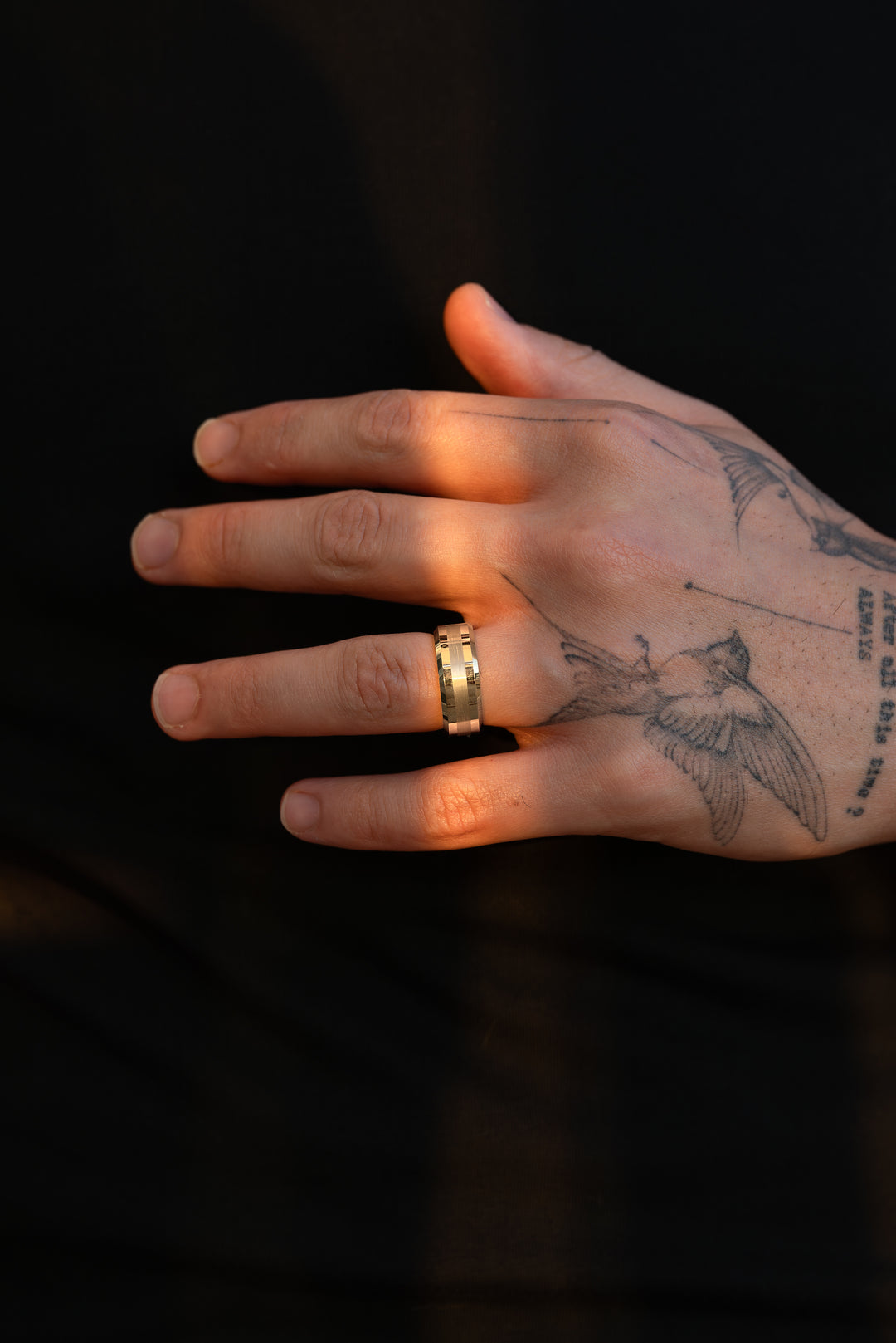 Anillo Aurum Carburo de Tungsteno